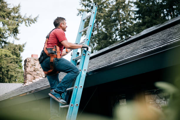 Asphalt Shingles Roofing in Bayard, NM
