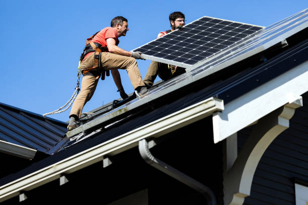 Best Roof Moss and Algae Removal  in Bayard, NM