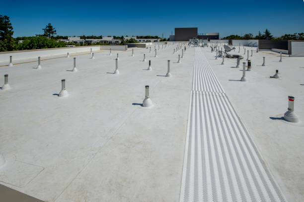 Best Gutter Installation and Repair  in Bayard, NM